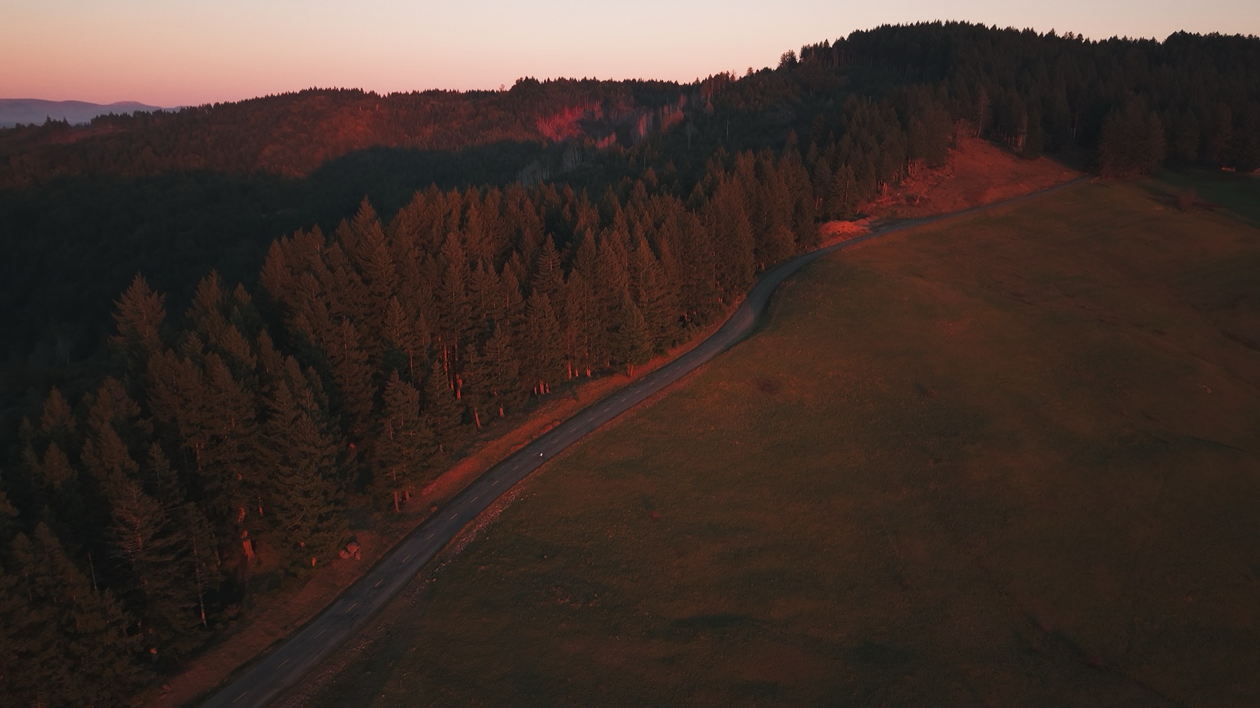 The base plate. Sunset cyclist on the forest road, full frame.